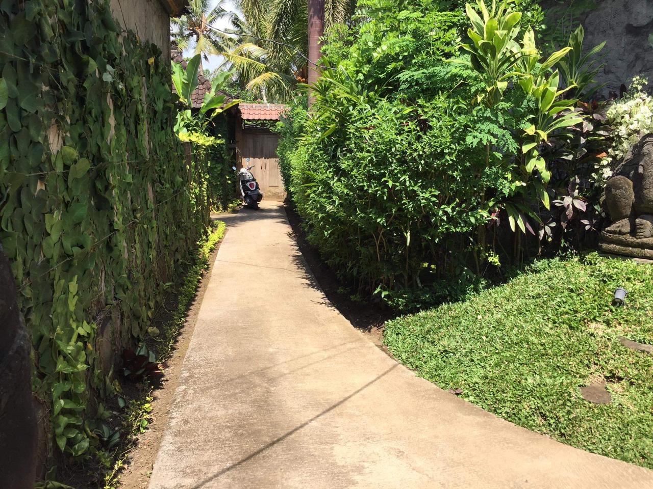 Rice Terrace Trekking