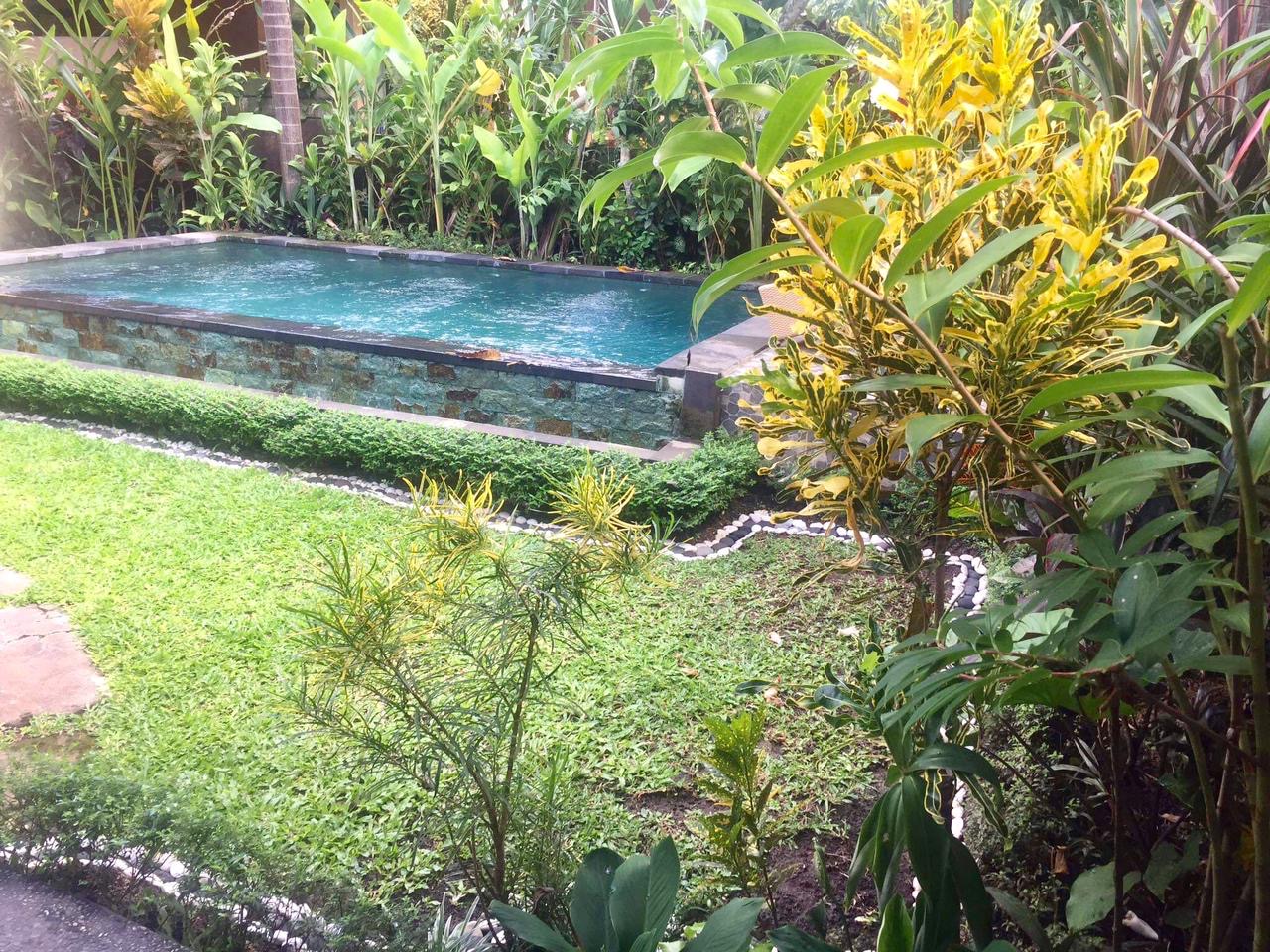 Jungle Hideaway Suite